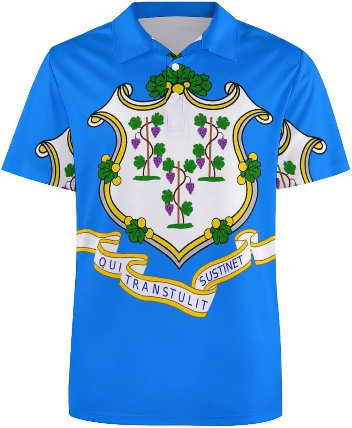 Connecticut Flag Mens Polo Shirts Quick Dry Short Sleeve T-shirts Slim Tennis Collared Tees Tops
