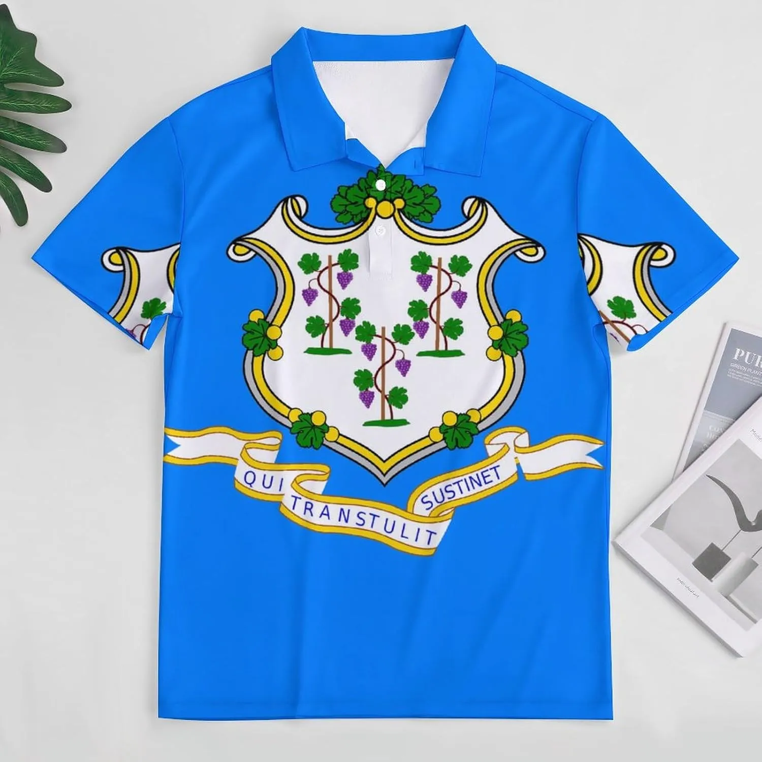Connecticut Flag Mens Polo Shirts Quick Dry Short Sleeve T-shirts Slim Tennis Collared Tees Tops