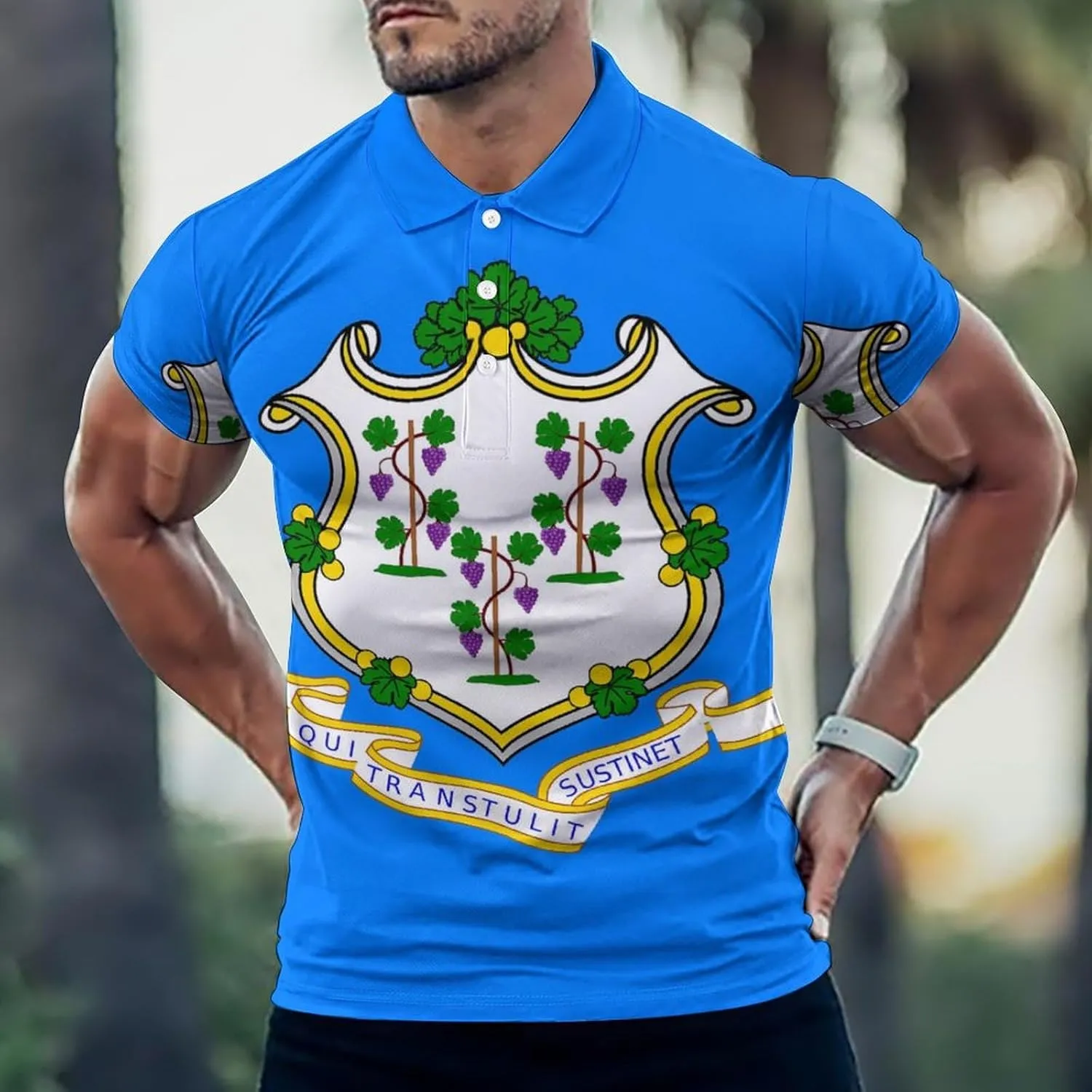 Connecticut Flag Mens Polo Shirts Quick Dry Short Sleeve T-shirts Slim Tennis Collared Tees Tops