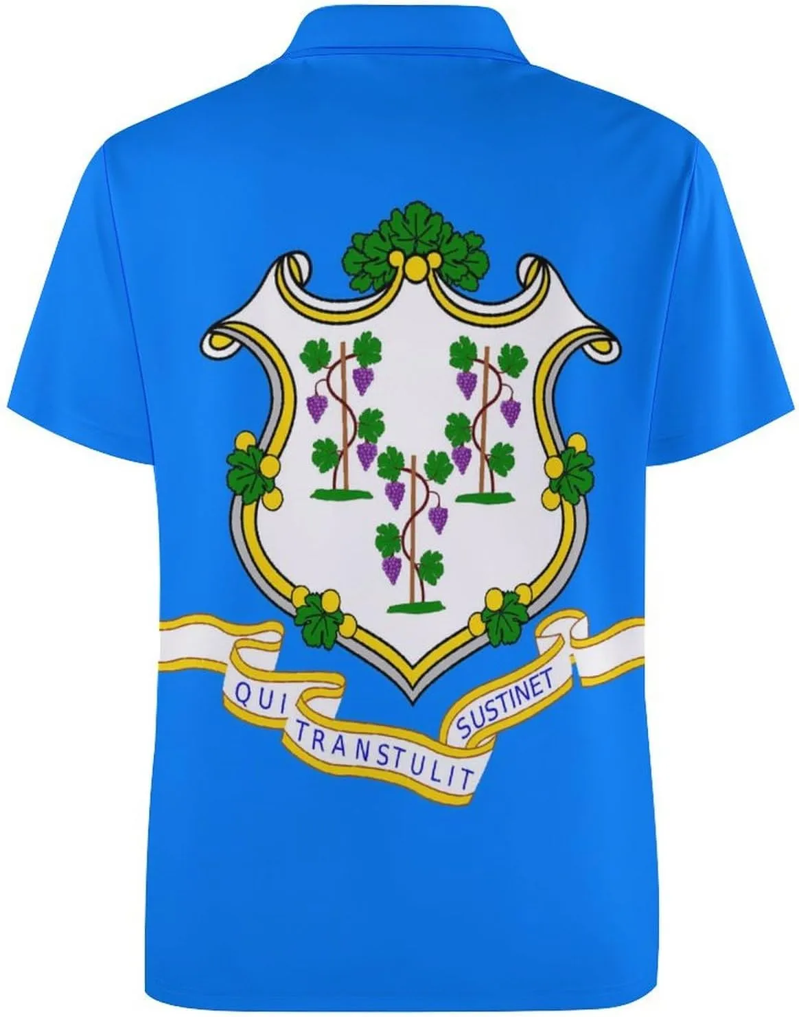 Connecticut Flag Mens Polo Shirts Quick Dry Short Sleeve T-shirts Slim Tennis Collared Tees Tops