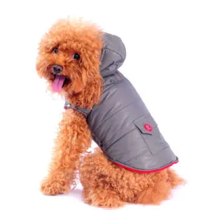 DASHING DOG PARKA GREY