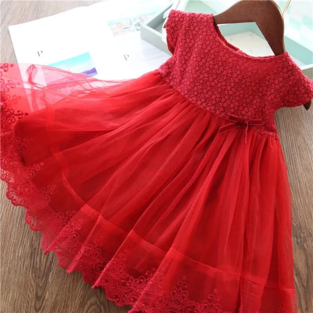 Elegant Lace Dress For Girls