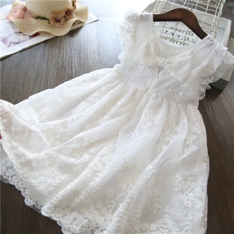 Elegant Lace Dress For Girls