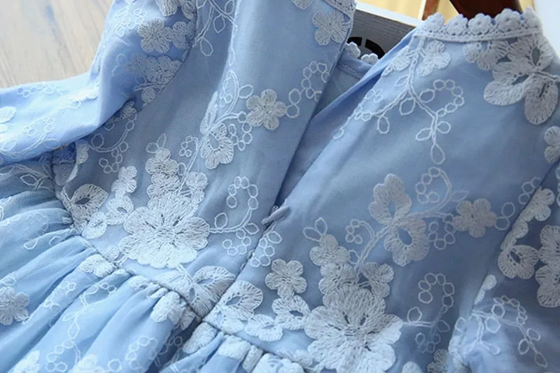 Elegant Lace Dress For Girls