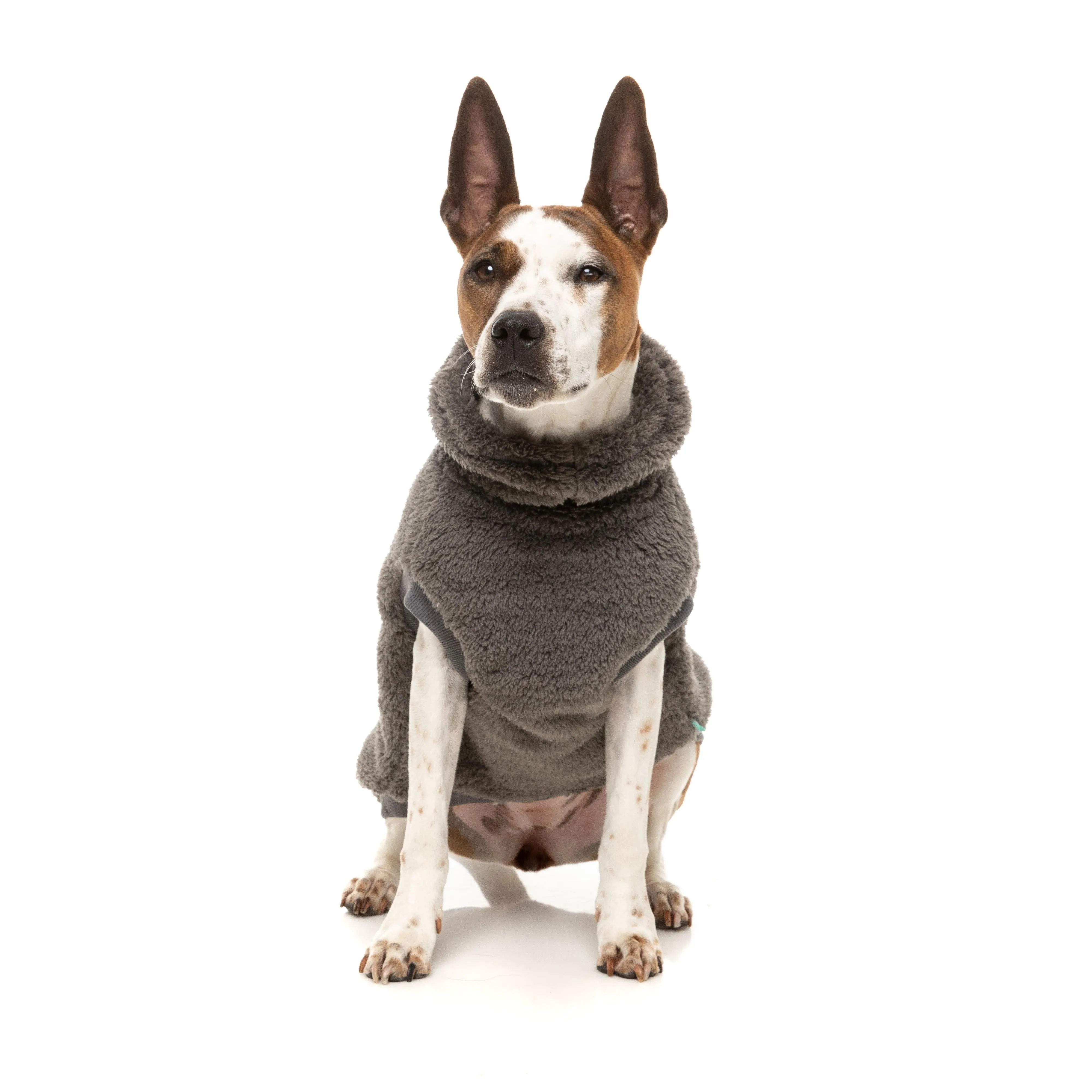 FuzzYard Dog Apparel Turtle Teddy 25 Sweater Gunmetal Grey Size 3 ^ ^