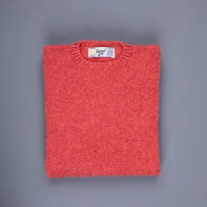 Laurence J. Smith Super Soft Seamless Crewneck Salmon
