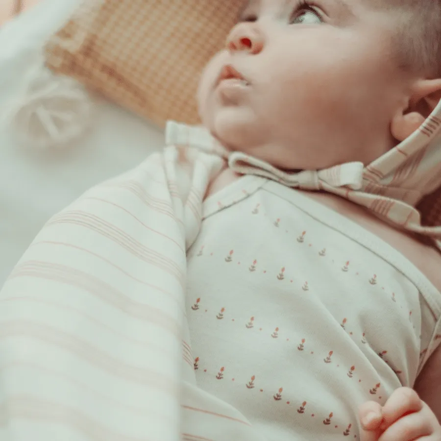 The Printed Bib - Mist Stripe